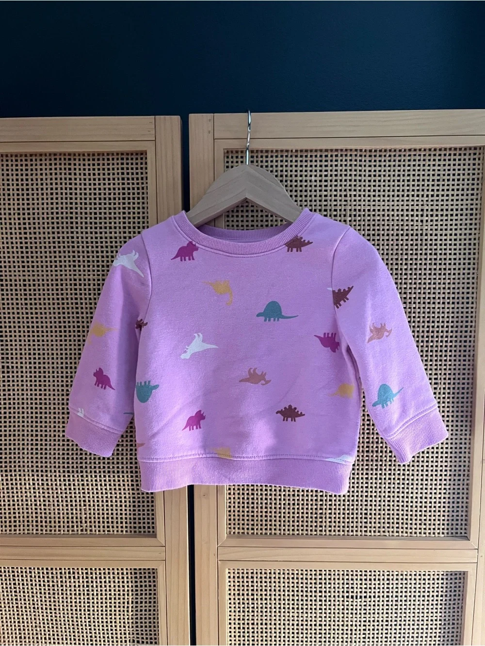 Cat & Jack 12M Sweatshirt with Multicolor Dino Print